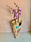 To-grenet rosa orkide